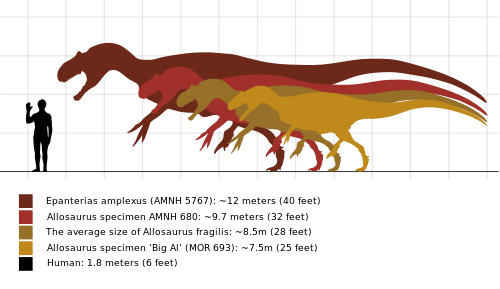 Allosaurus comparison